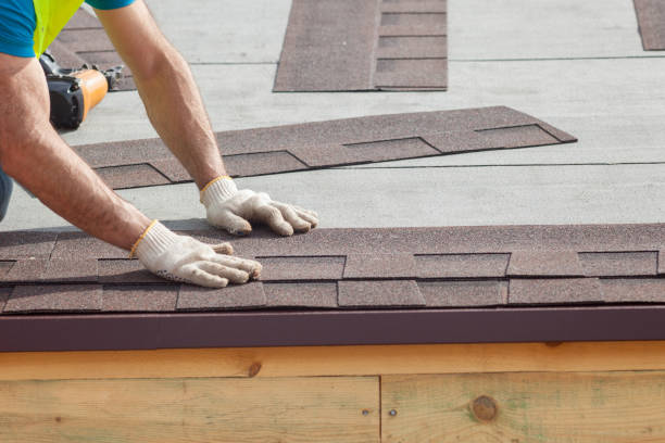 Best Roof Moss and Algae Removal  in Lonaconing, MD